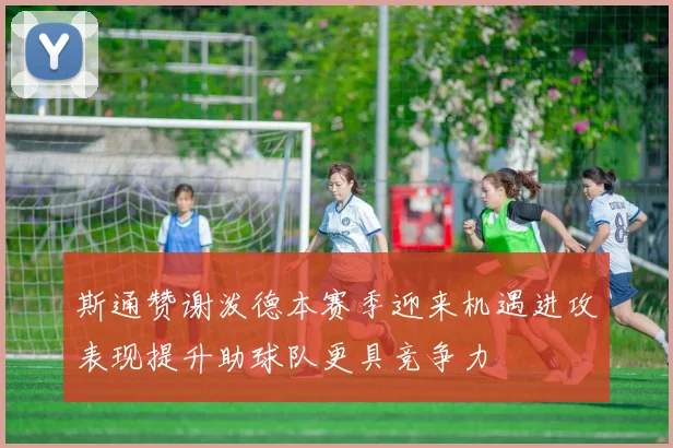 斯通赞谢泼德本赛季迎来机遇进攻表现提升助球队更具竞争力