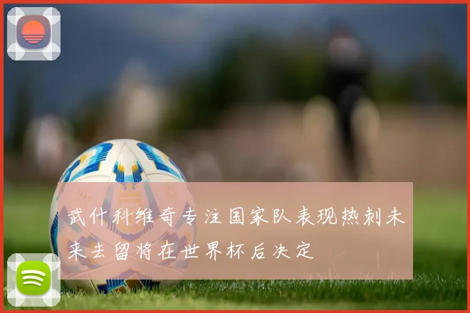 武什科维奇专注国家队表现热刺未来去留将在世界杯后决定